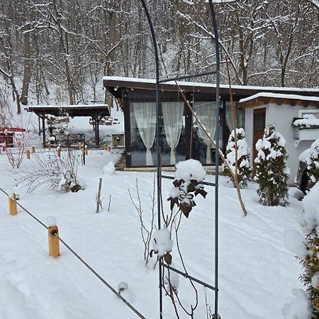 Pensiunea Lui Calin Ocnele Mari Esterno foto