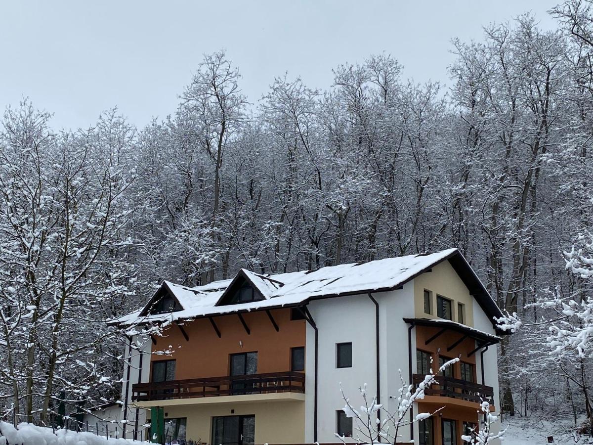 Pensiunea Lui Calin Ocnele Mari Esterno foto