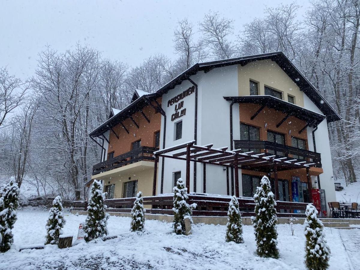 Pensiunea Lui Calin Ocnele Mari Esterno foto